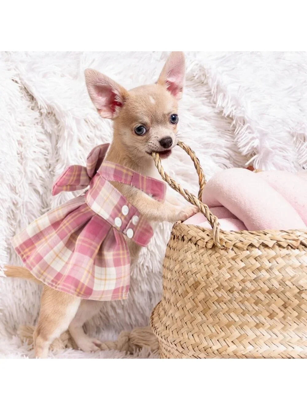 Stylish Plaid Dog Dresses with Bow, 4-Piece Set, Harness & Leashes, Large, Dark